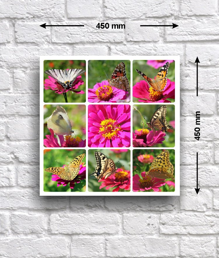 Постер - коллаж «Бабочки на циниях», 45 см х 45 см Постер с коллажем из фотографий бабочек, сидящих на цветках изящной цинии.